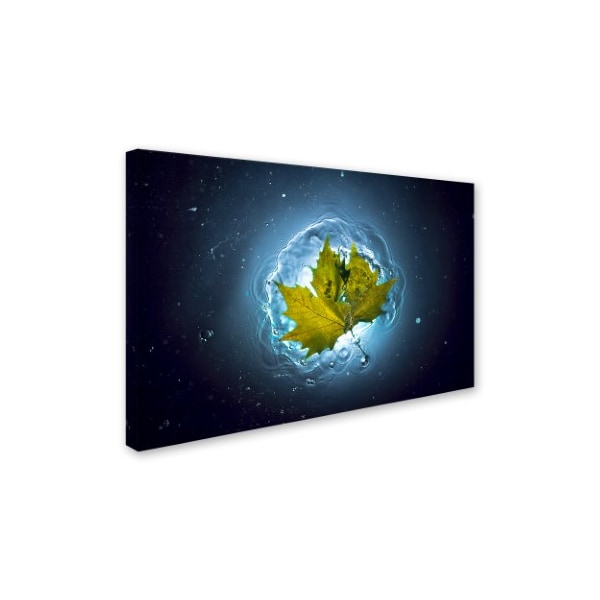 Alexandar Lazarov 'Cosmic Autumn' Canvas Art,22x32